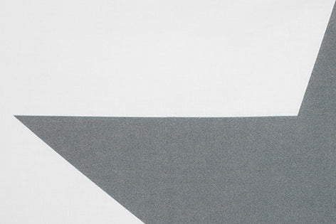 Set copripiumino federe letto 100% cotone stampa digitale STELLA GRIGIO