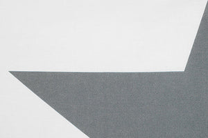Set copripiumino federe letto 100% cotone stampa digitale STELLA GRIGIO