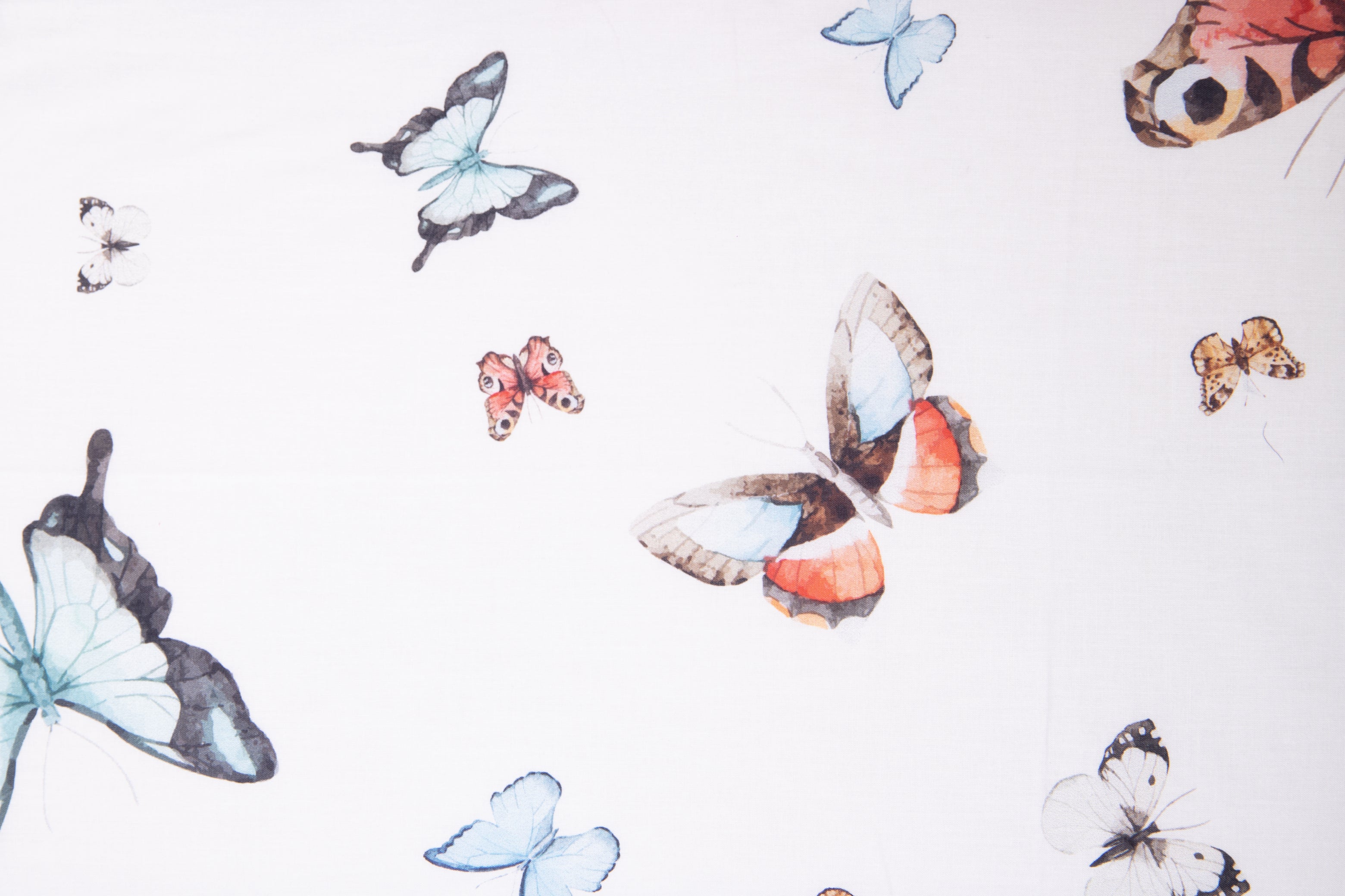 Set Copripiumino federe parure Copripiumino Stampa Digitale Cotone Made in Italy FARFALLE MULTICOLOR